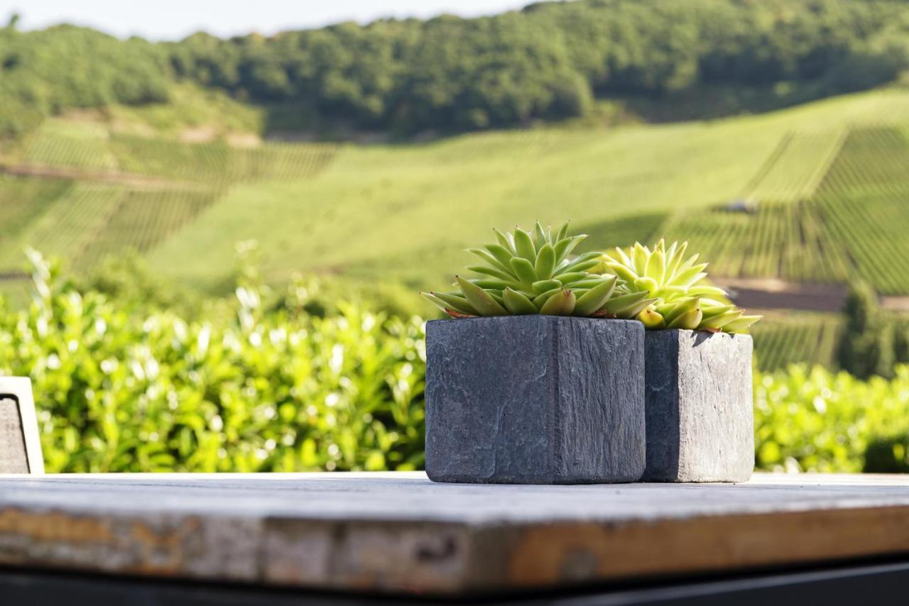 Weingut & Gaestehaus Christoph Cluesserath Trittenheim Bagian luar foto