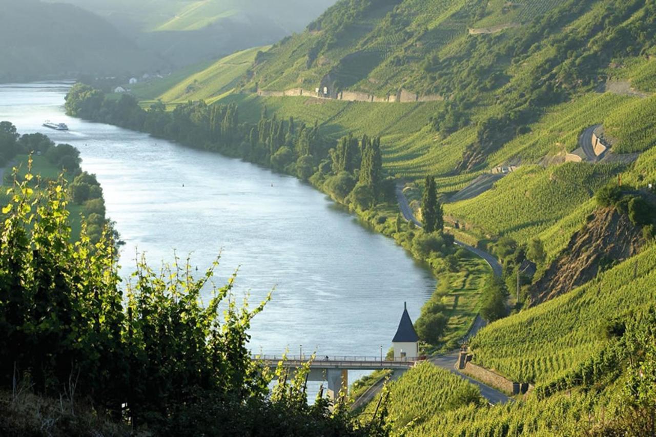 Weingut & Gaestehaus Christoph Cluesserath Trittenheim Bagian luar foto