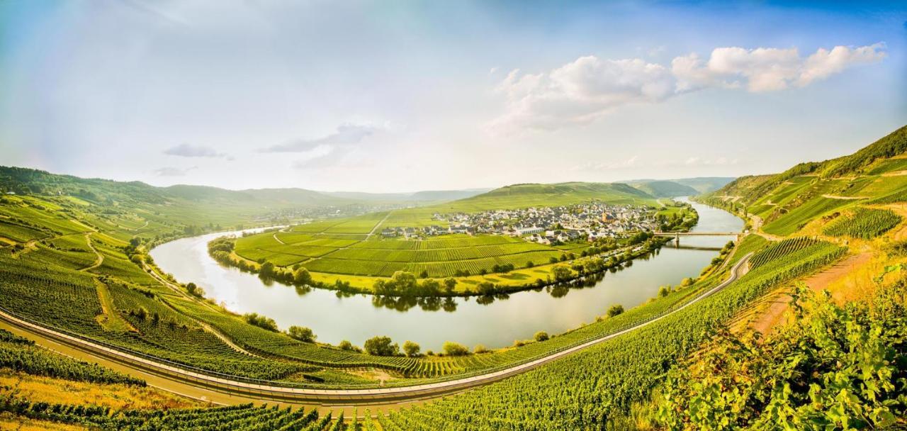 Weingut & Gaestehaus Christoph Cluesserath Trittenheim Bagian luar foto