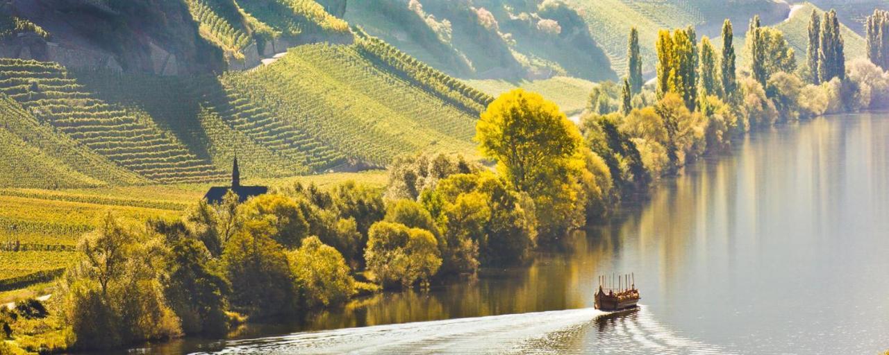 Weingut & Gaestehaus Christoph Cluesserath Trittenheim Bagian luar foto