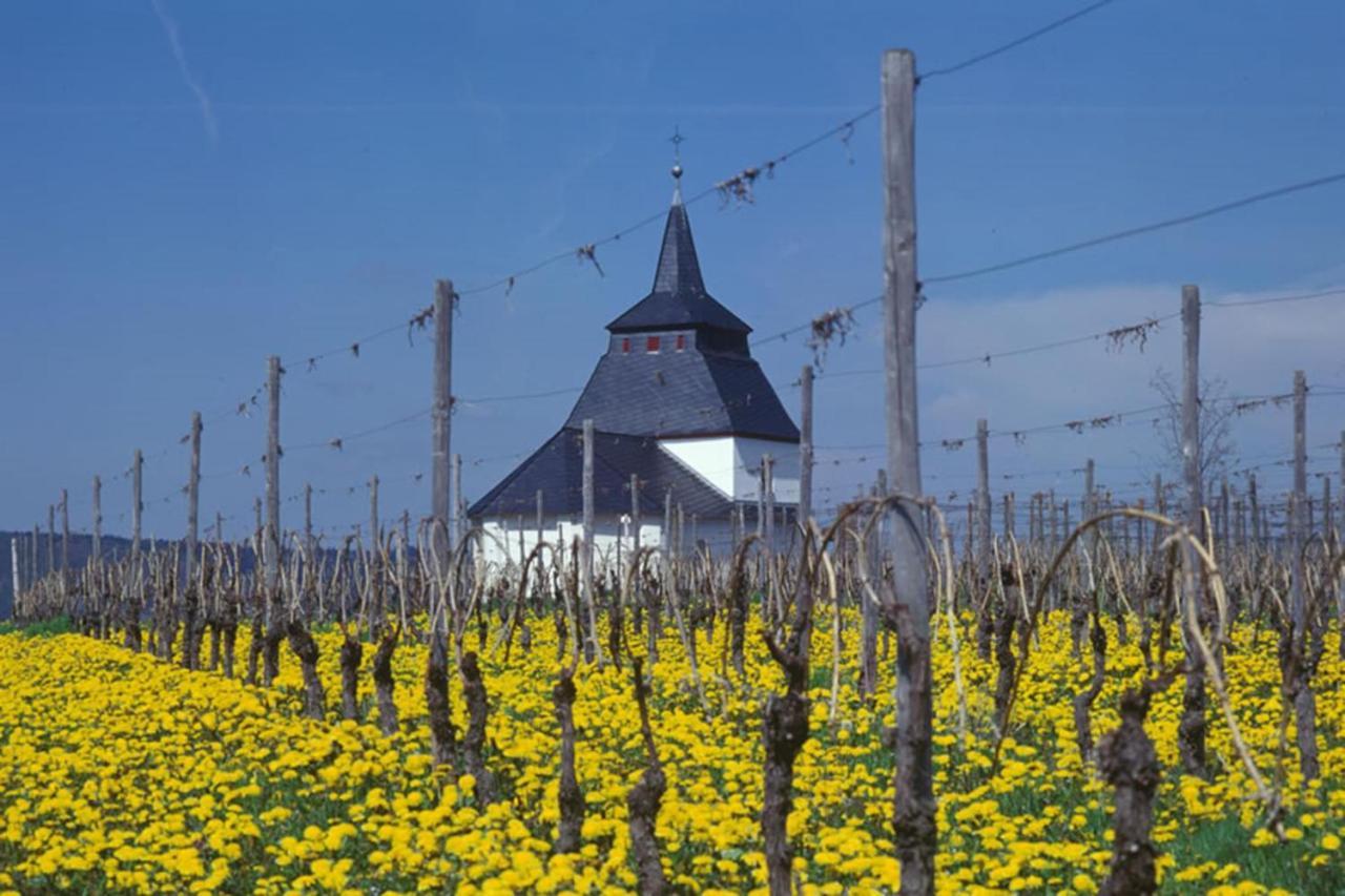 Weingut & Gaestehaus Christoph Cluesserath Trittenheim Bagian luar foto